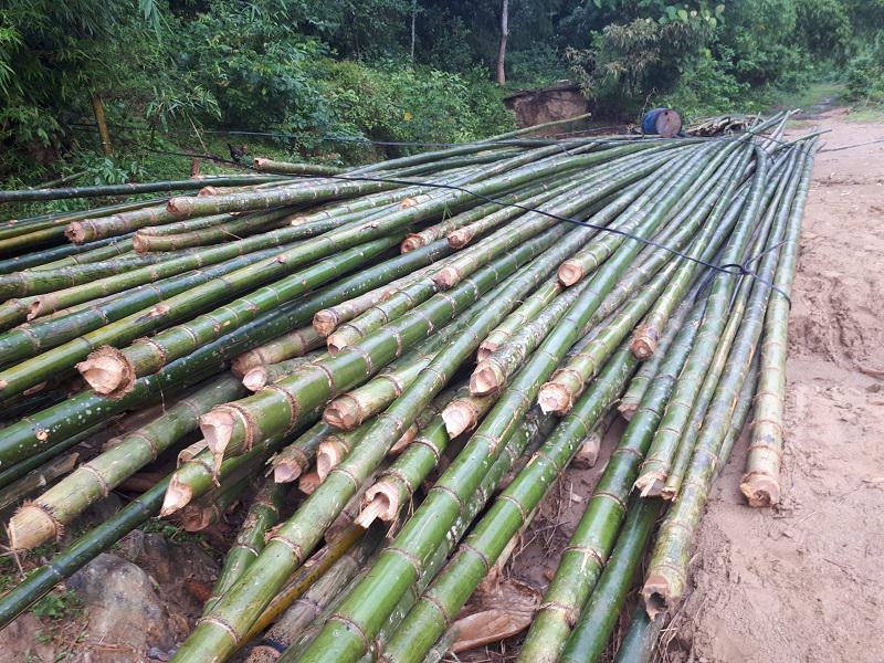 Chuẩn bị thanh tre để làm diều