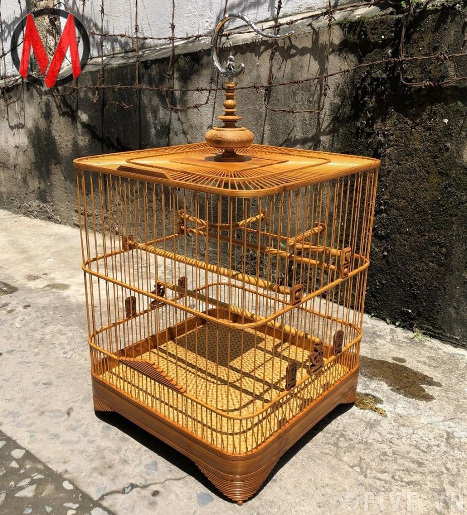 Lồng chào mào vuông không trụ