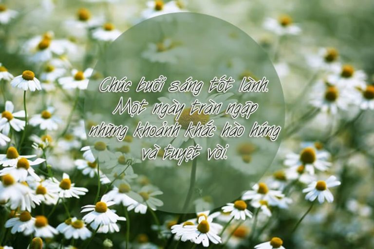 Tặng 101 lời chúc buổi sáng tốt lành ngọt ngào cho người yêu bạn bè