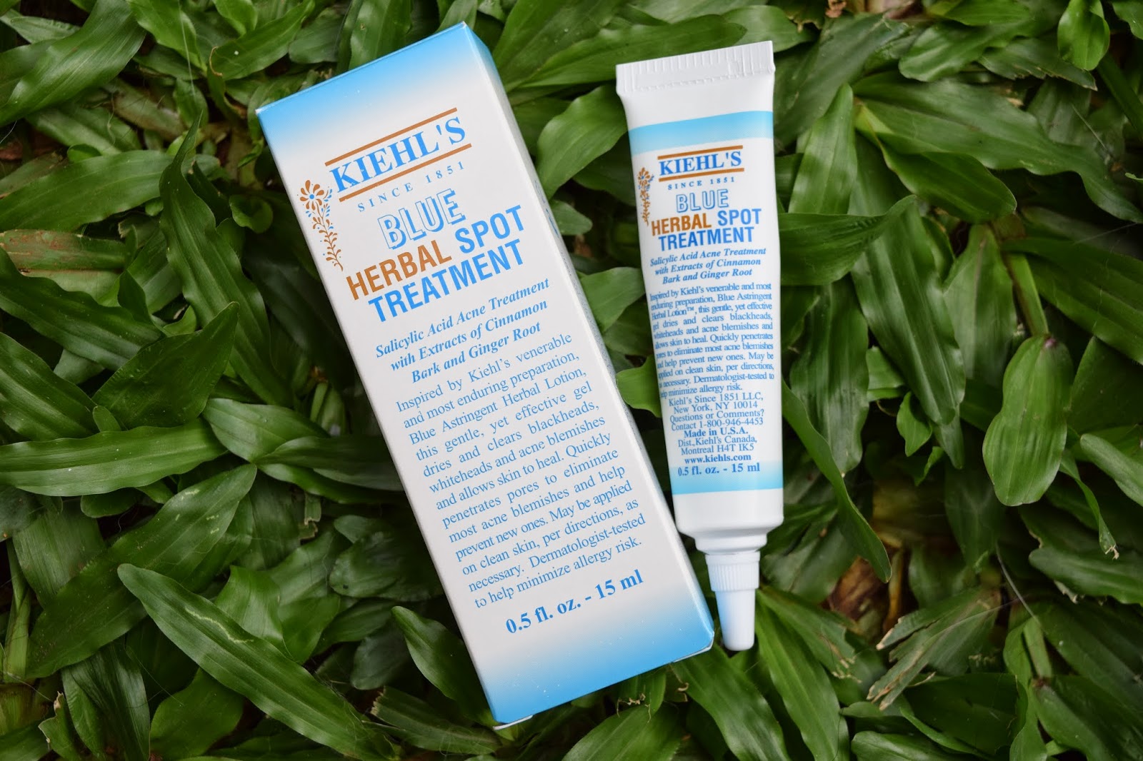 Review kem trị mụn Kiehl’s – Cứu tinh cho làn da dầu, mụn